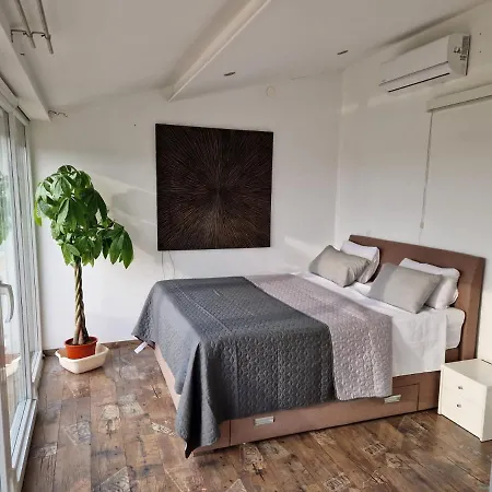 Apartment Vilic-3