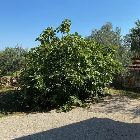 Holiday Home Sea La Vie-3