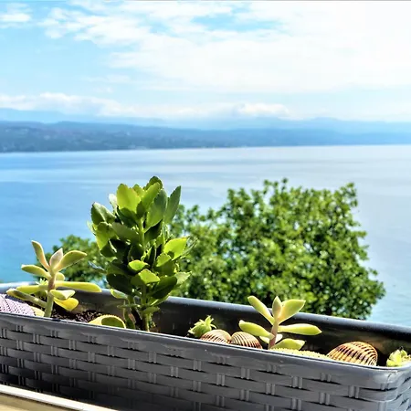 Apartment Near Beach With Sea View - Free Parking-3