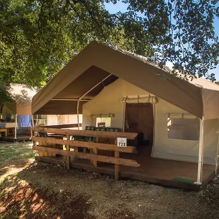 Sunflower Camping-2