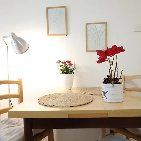 Apartment Mir-2