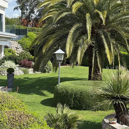 Bed And Breakfast Villa Iris-3