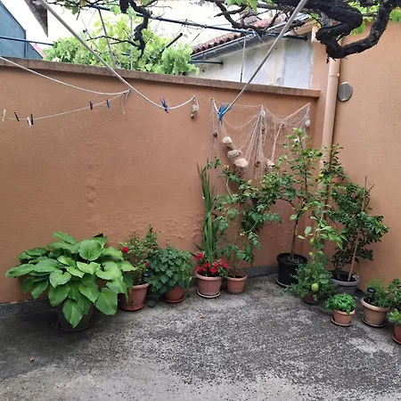 Apartman Anthony-3