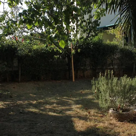 Apartments And Rooms With Parking Space Rovinj - 7170-3