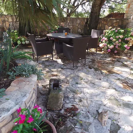 Holiday Homes In Rovinj - Istrien 11675-2