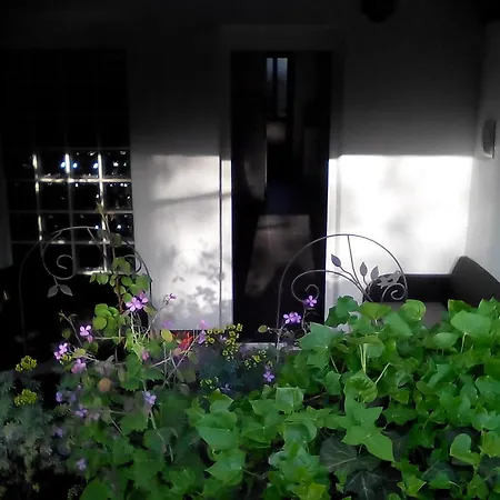 Apartment Poropat-2