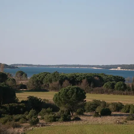 Vila In Lavanda-2