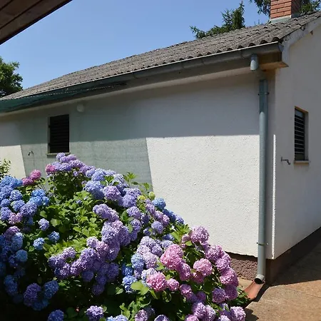 Holiday Home Leni-3