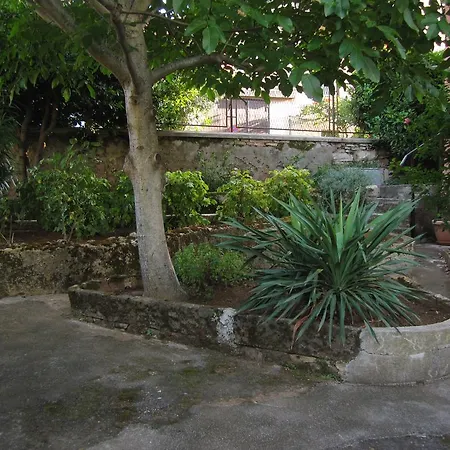 Guest House Ilona-3