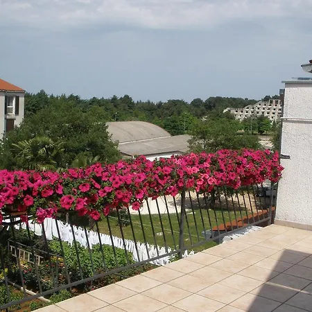 Apartments Timi-2