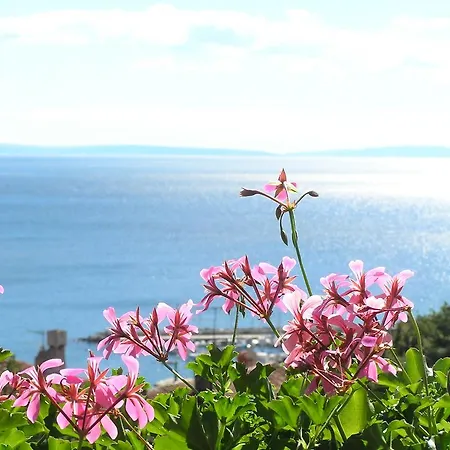 Guest House Lifestyle Holiday-2