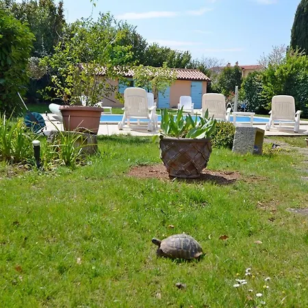 Villa Di Te Nema-3