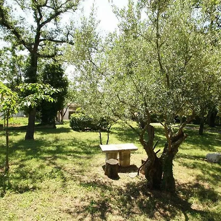 Haus Gasparini-2