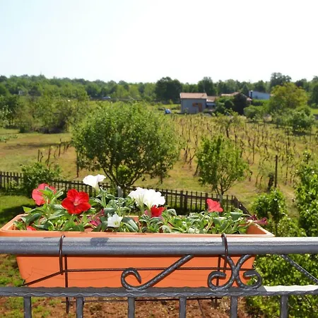 Apartments Marko-2