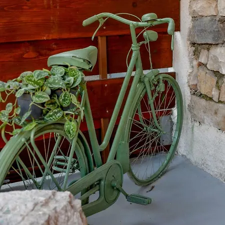 Vintage Garden Apartment-2