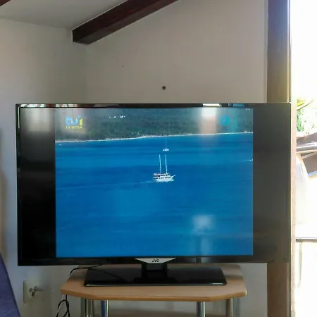 Delfin-2