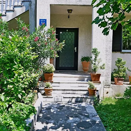 Apartment Gogo-3