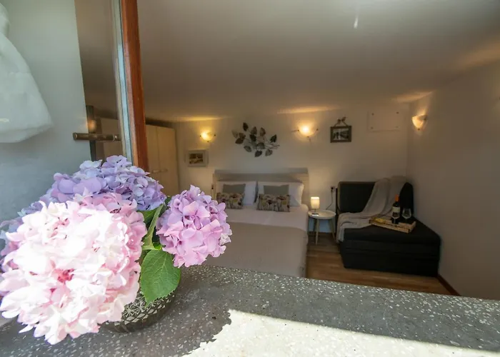 Huisdiervriedelijke Apartment Amalia Volosko Opatija