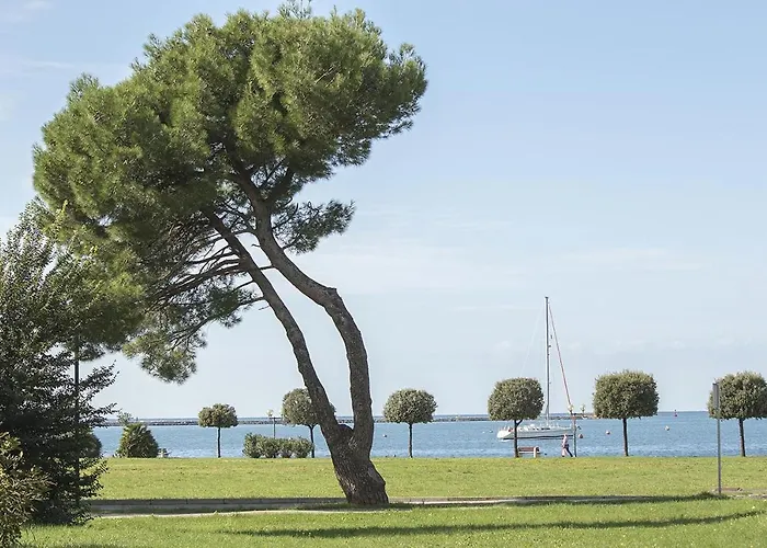 Huisdiervriedelijke Apartments Villa Nona Umag