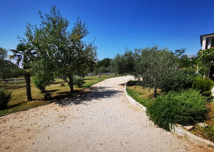 Apartments Relax Zone Umago che accetta animali