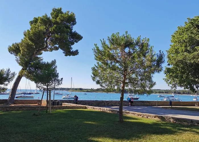 Ivan Novigrad Istria