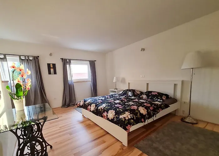 Huisdiervriedelijke Sweet House&Apartment Rovinj