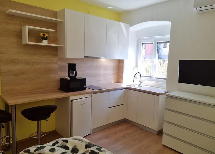 Studio Apartment Lori Pula acceptant les animaux