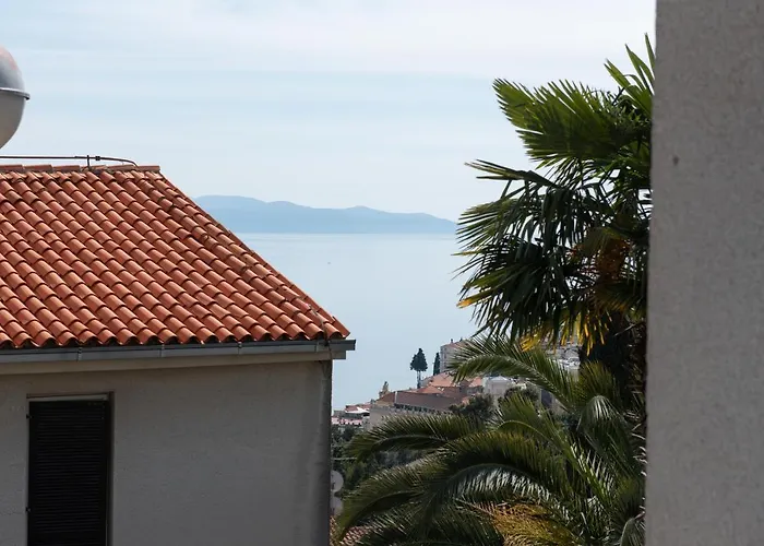 Didi Apartment Opatija admite animales