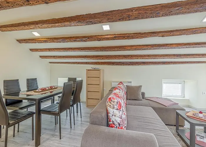 Pet friendly Apartment Nikola Porec