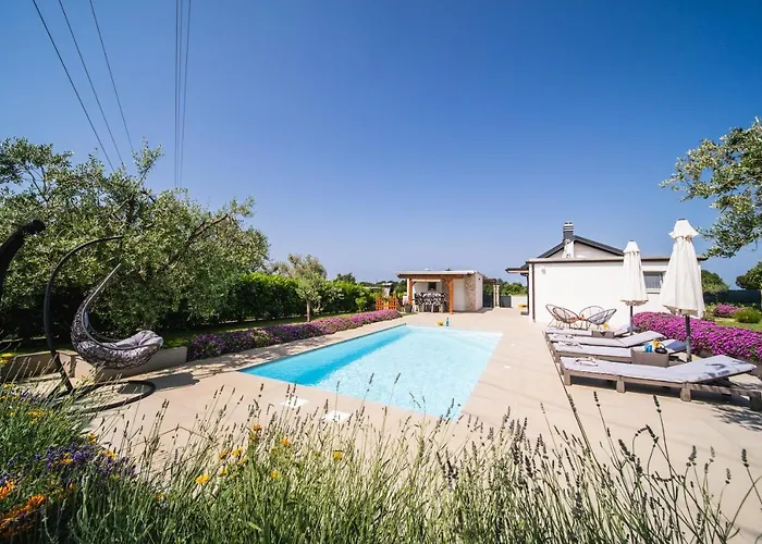 Villa Leonardo House Novigrad Istria che accetta animali