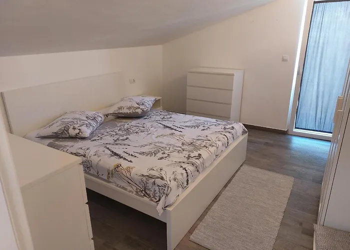 Pet friendly Apartmani Popovic Porec
