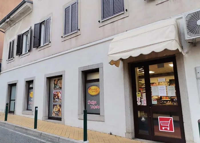 Huisdiervriedelijke Apartman Kira Opatija