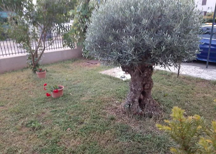 Apartman Silvano Rovinj