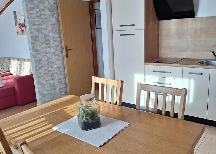 Apartment Ankica Umago