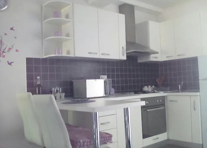 Huisdiervriedelijke Apartment Poropat Poreč