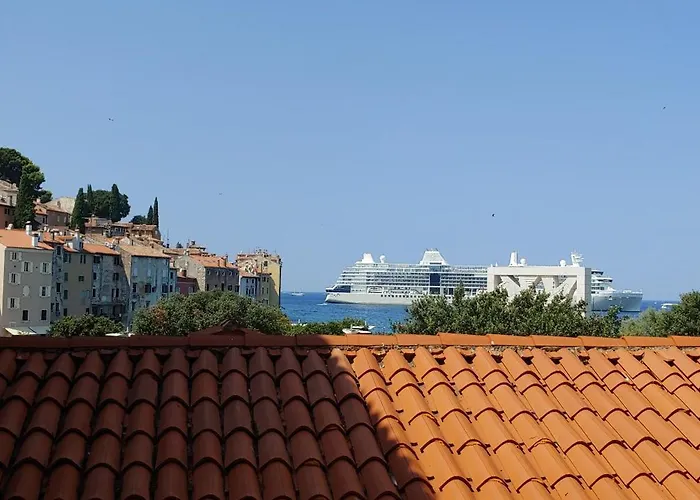 Pet friendly Apartman Delfin Rovinj