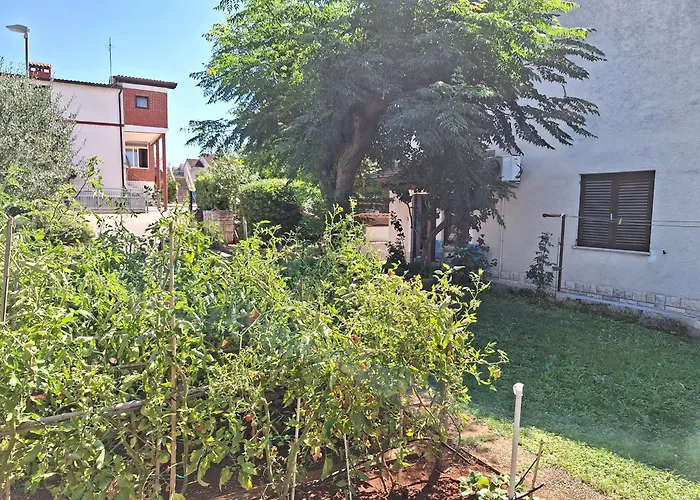 Apartments Reinić Novigrad Istria