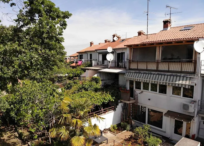 Apartments Porec Beach Area Simo