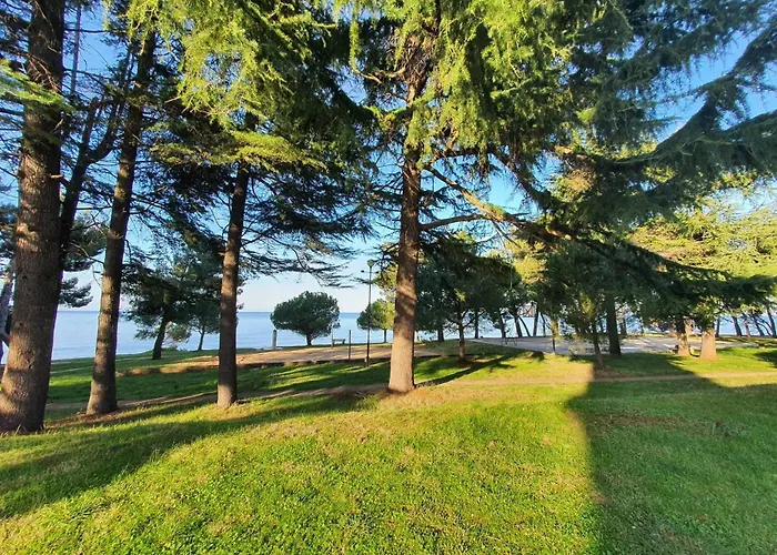 Youth Hostel Pinesta Novigrad Istria