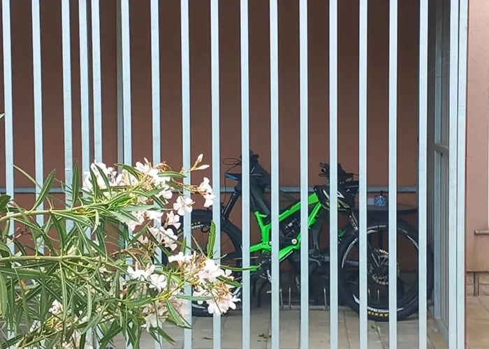 Bed & Breakfast Grgic Novigrad Istria che accetta animali
