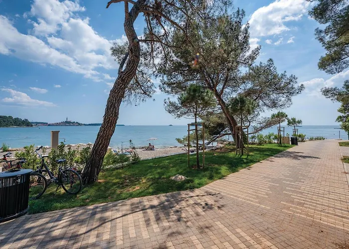 Gorgeous Home In Rovinj With Wifi
