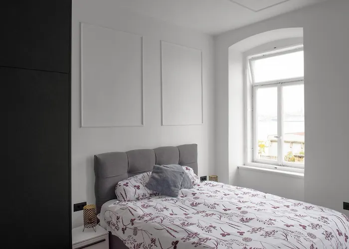 Navis City Apartments Pola che accetta animali