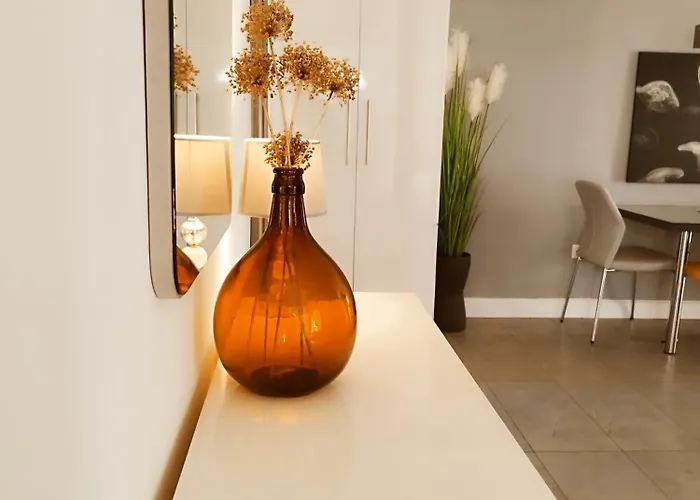 Apartments Merlin Novigrad Istria che accetta animali