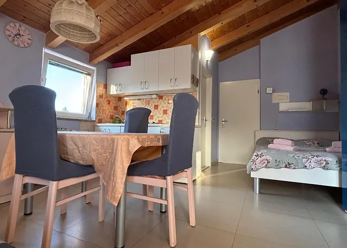 Huisdiervriedelijke Apartments Beti Poreč