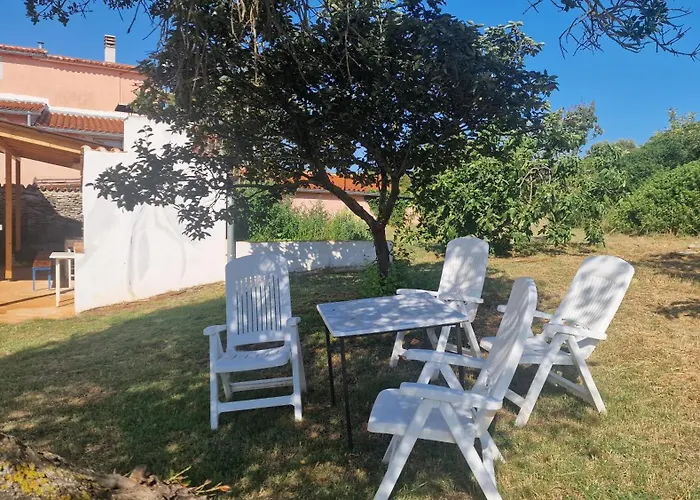 Pet friendly Apartment Helena Pula