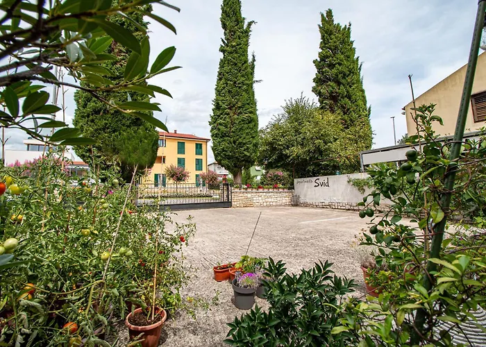 Apartment Svid Rovinj