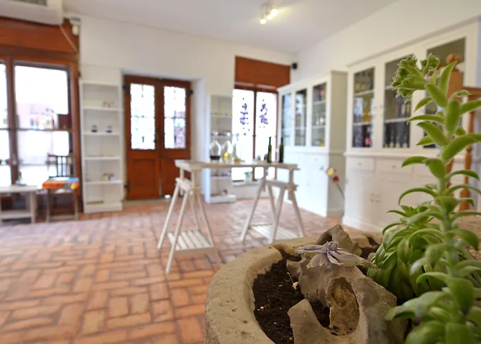 Villa Borgo B&B Motovun