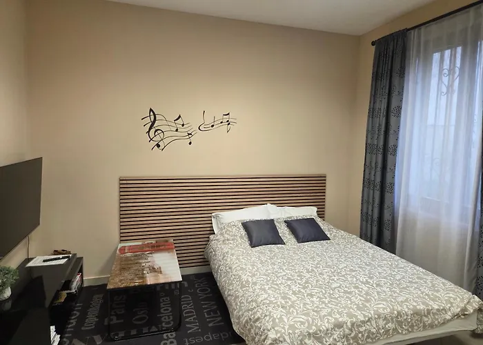 Pet friendly Rovinj City Apartment