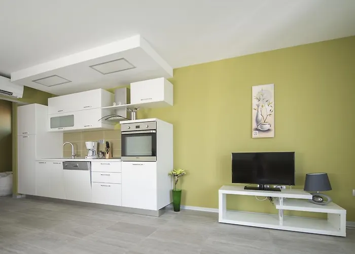 Villa Danex Premium Umago che accetta animali