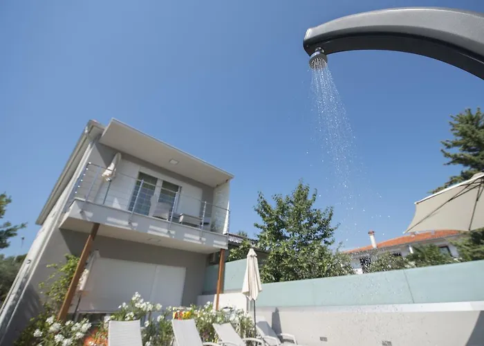 Villa Danex Premium Umago che accetta animali